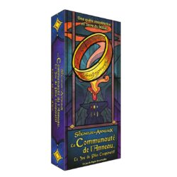 Loc La Communauté de l'Anneau : Jeu de Plis Coopératif